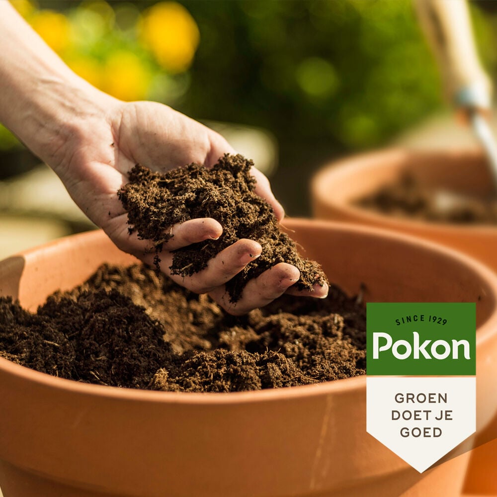 Pokon Bio potgrond - Potgrond - 40 Liter
