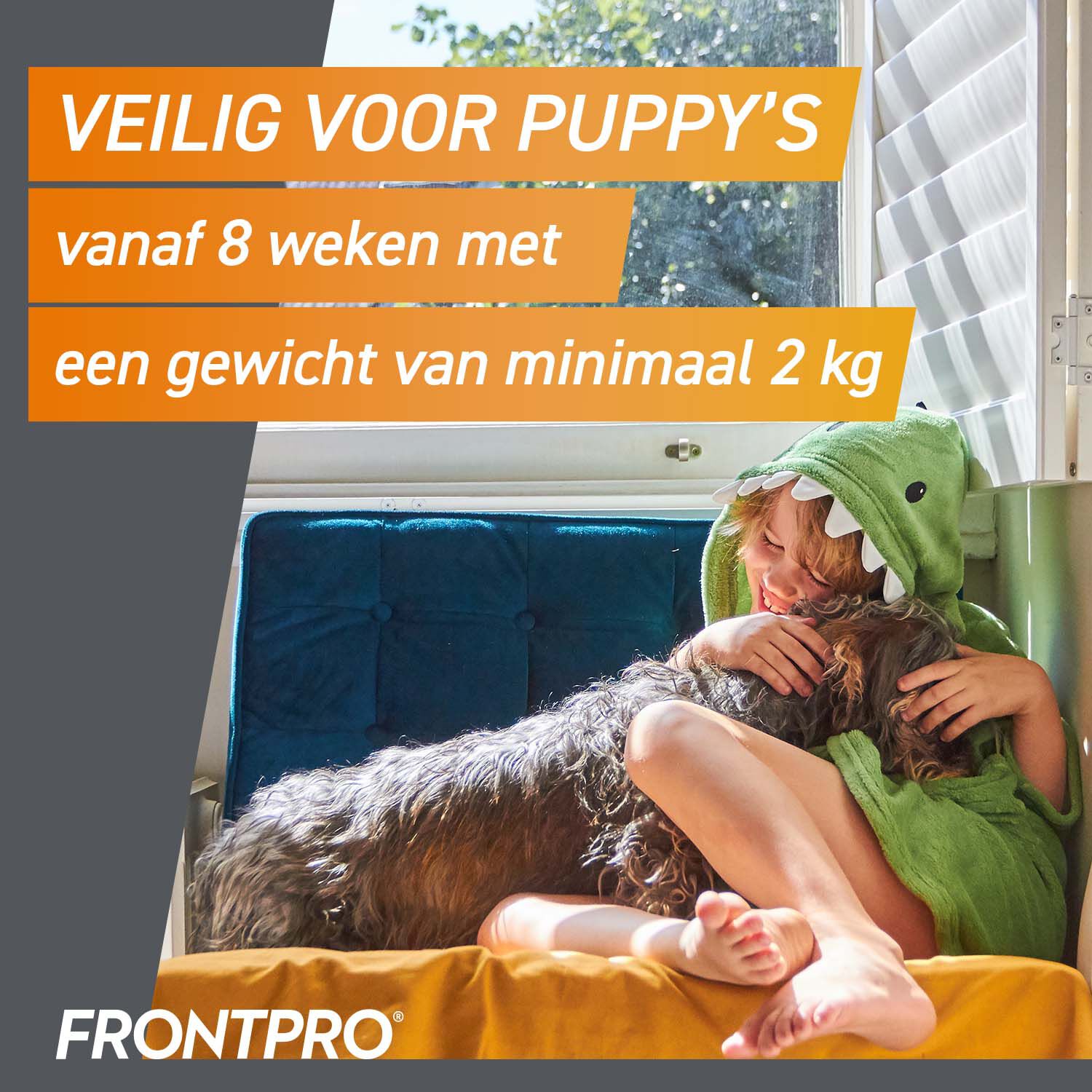 Frontpro Kauwtablet - Anti Vlooien en teken Hond - L - 3 Stuks - L