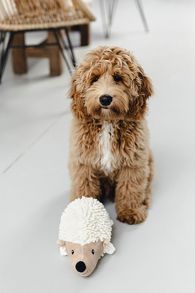 Beeztees Ecgo Egel Ittie - Knuffel - Hondenspeelgoed - Beige - 34x13x13 cm