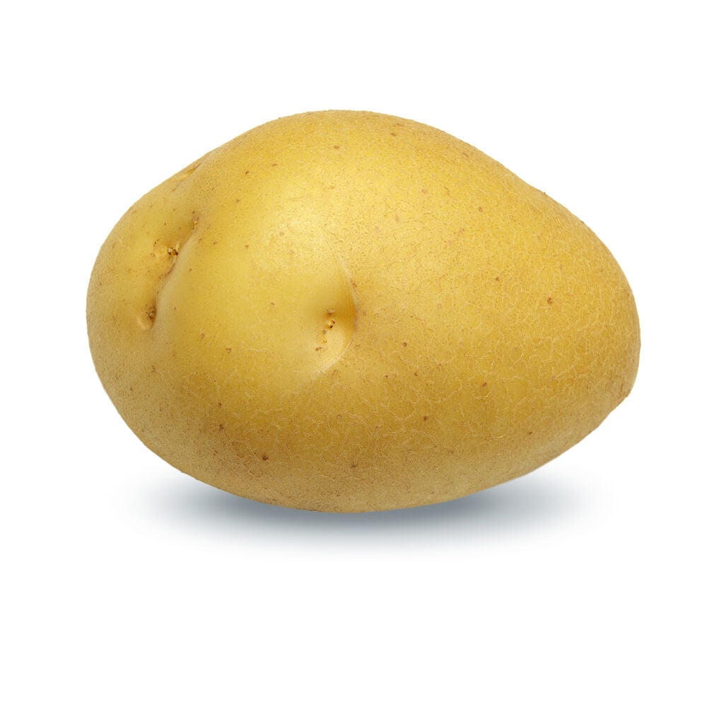 Berber - Pootaardappelen - 2.5 Kilogram - Vastkokend Berber - Pootaardappelen - 2.5 Kilogram - Vastkokend