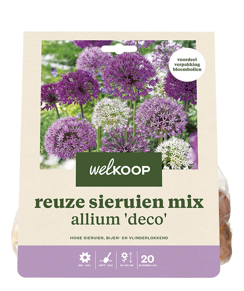 Welkoop Reuze Allium mix Mary - Bloembollen