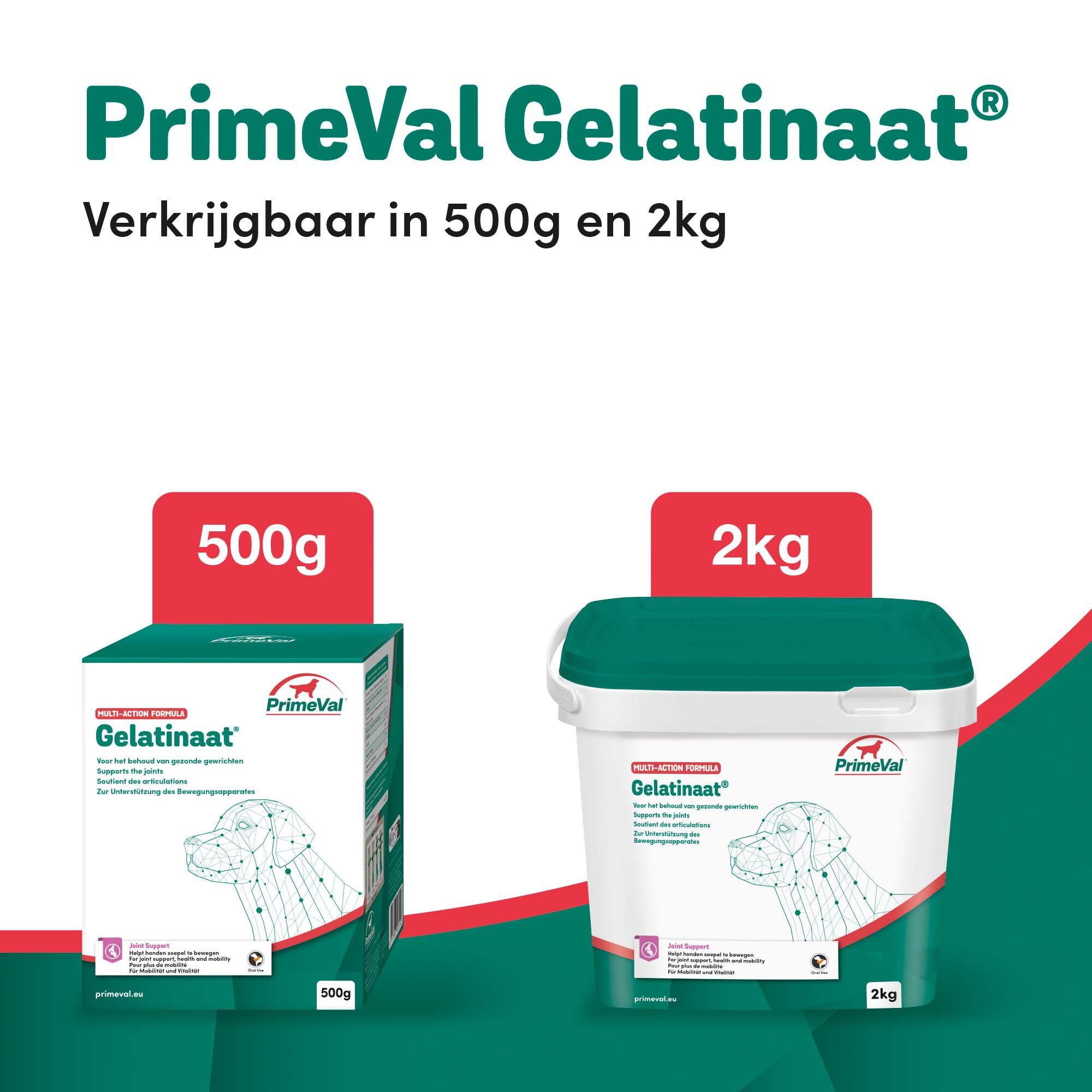 Primeval Gelatinaat - Soepele gewrichten Hond - 0.5 Kilogram