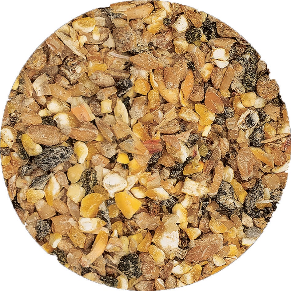 Welkoop Kippenmeel - Kippenvoer - 5 Kilogram