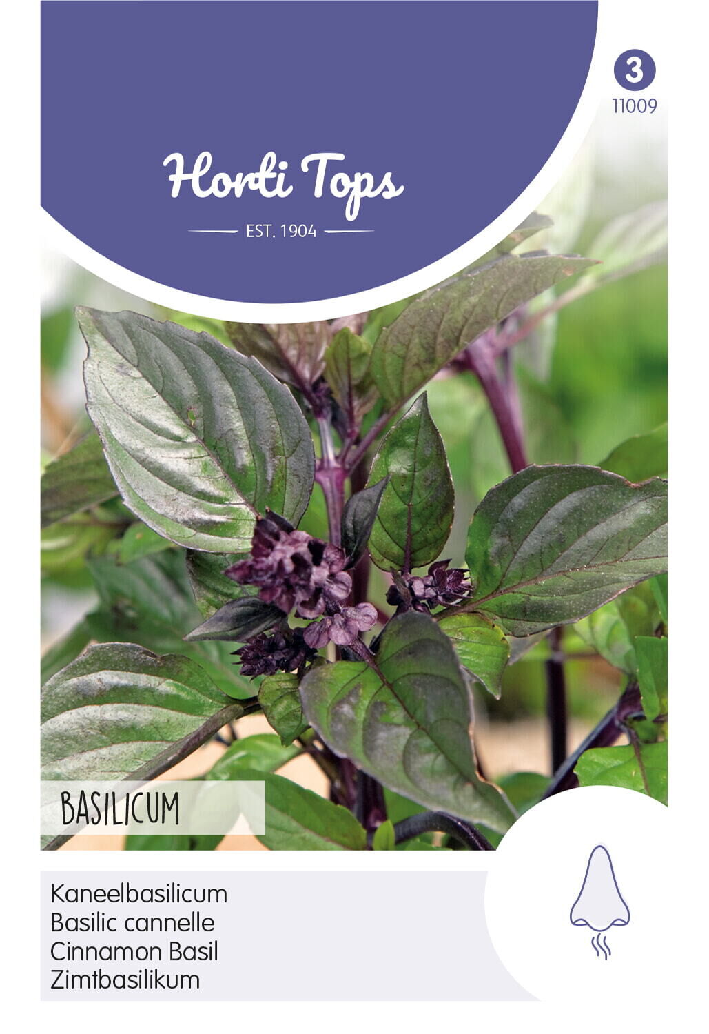 Hortitops Basilicum Ocimum basilicum purpurascens Kaneelsmaak - Kruidenzaden