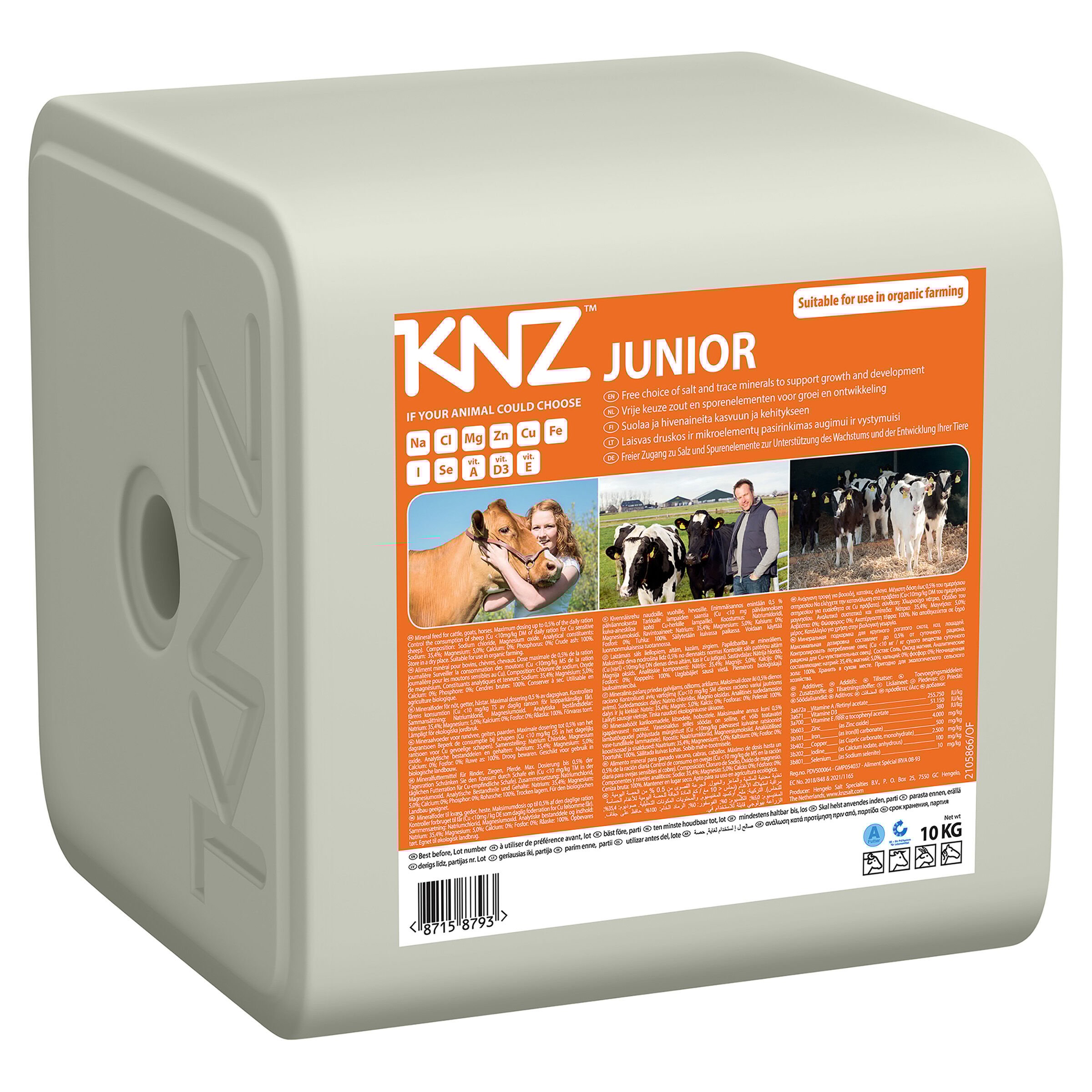 KNZ Jongvee Junior - Liksteen