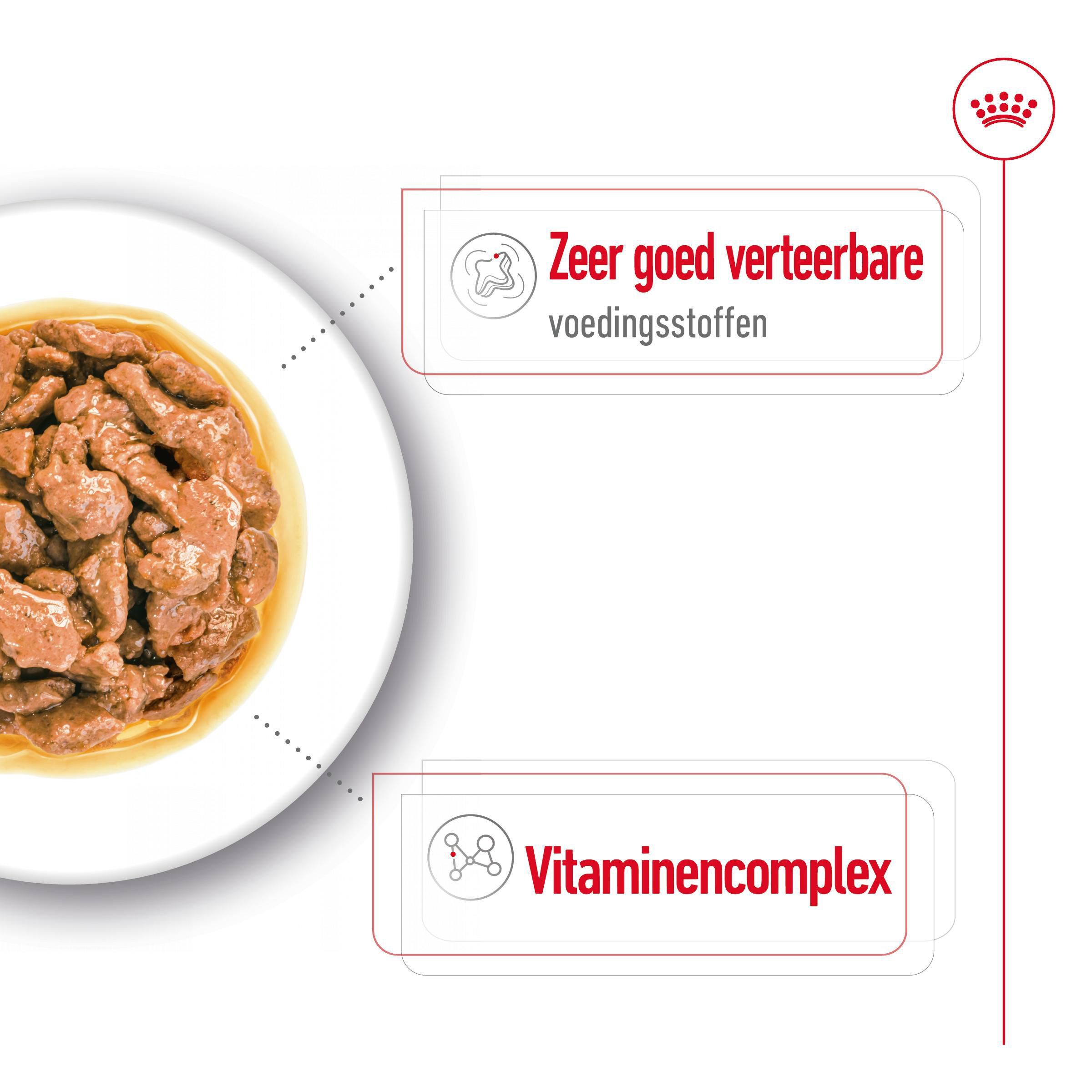 Royal Canin Mini Adult - Hondenvoer - 12x85 gram - 1020 Gram - gevogelte