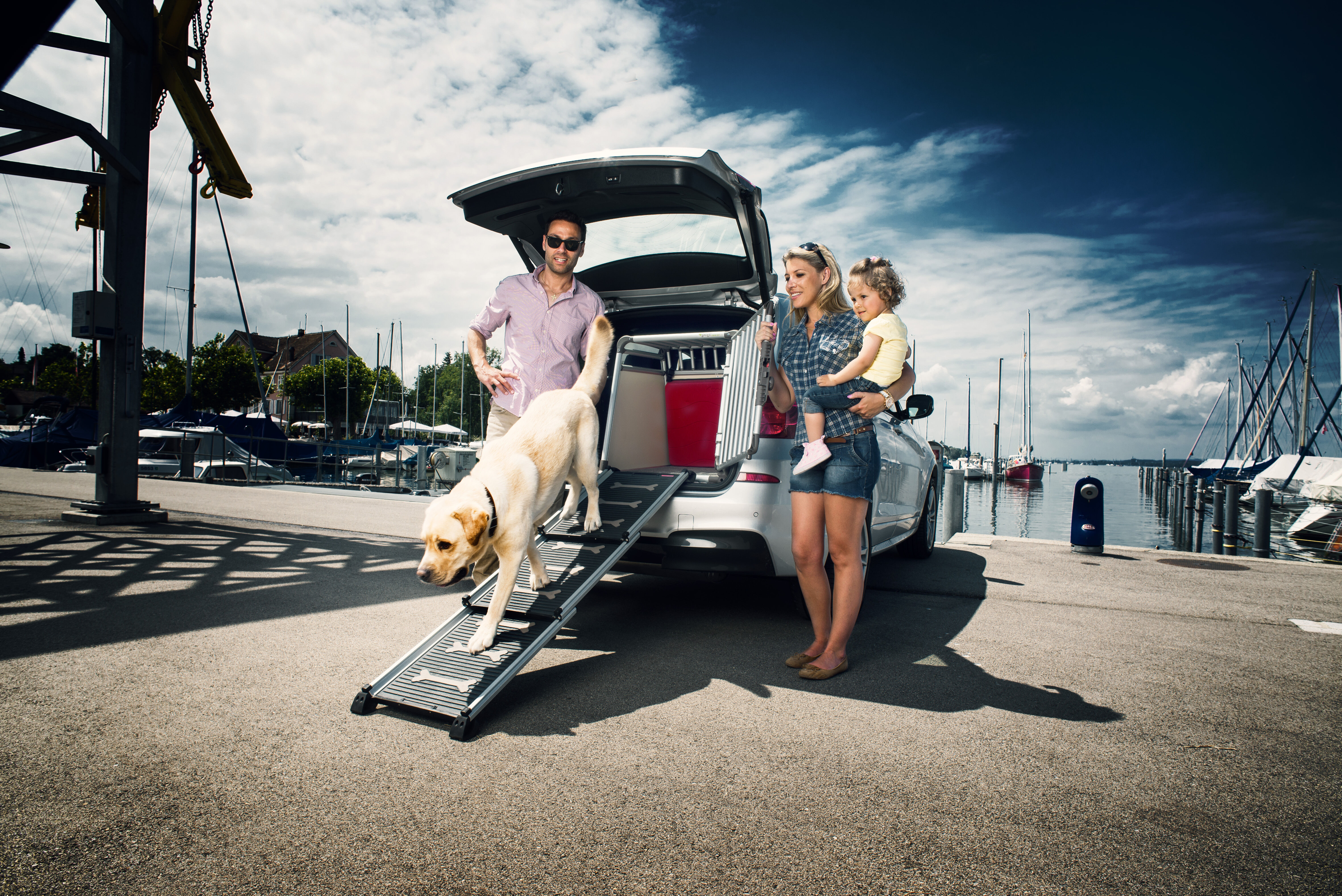 Proline Easy-steps - Loopplank Hond - Uitschuifbaar - zwart