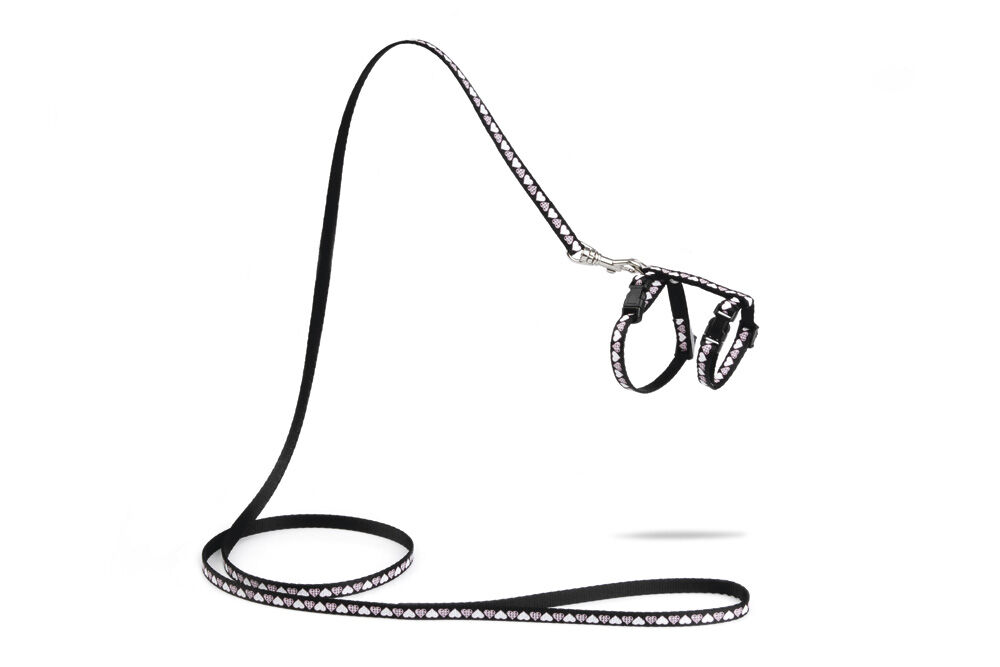 Beeztees Hearts - Kittentuigje - Zwart - 100 cm