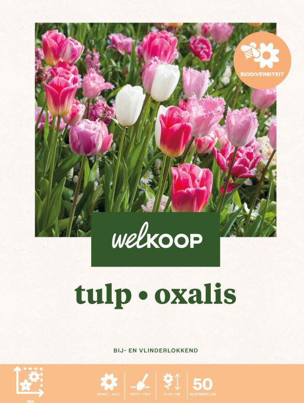 Welkoop Tulp Oxalis Biodiversiteit - Bloembollen