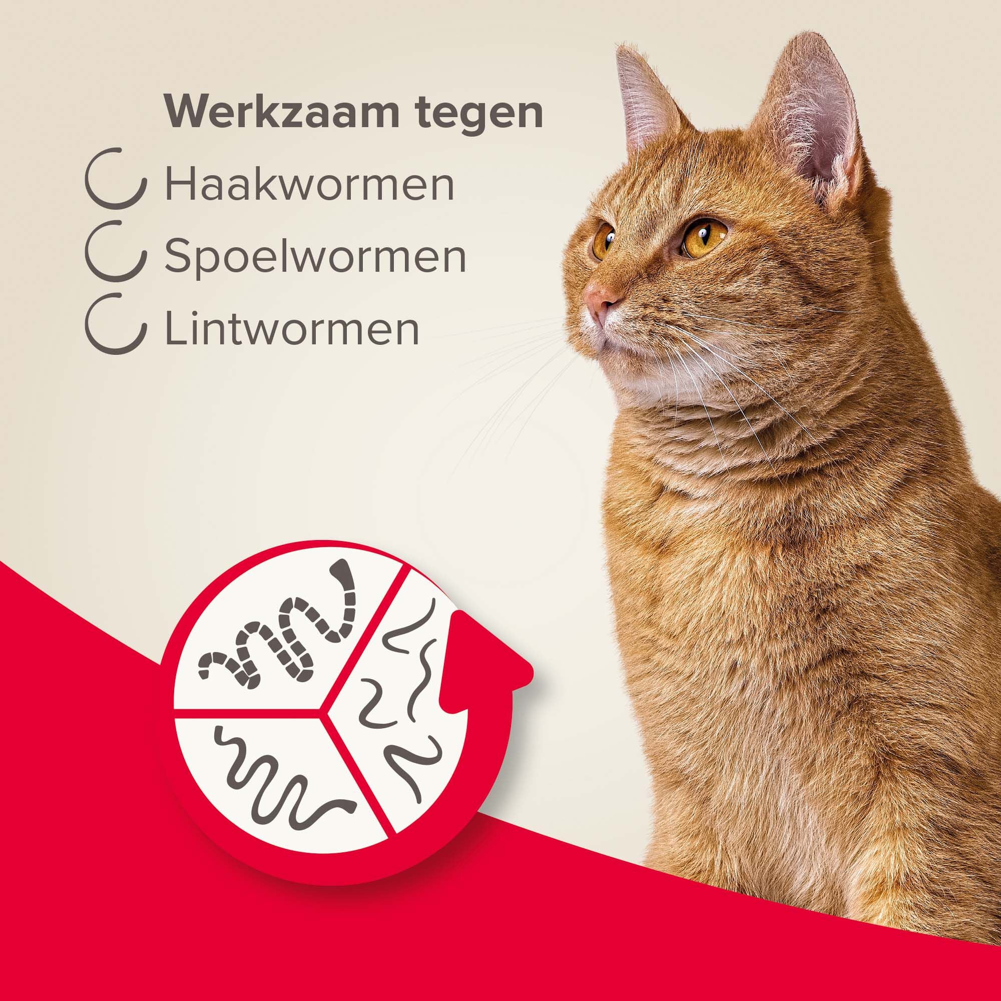 Beaphar all-in-one Tabletten - Ontwormen Kat en Kittens - 2 Stuks