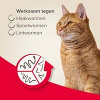 Beaphar all-in-one Tabletten - Ontwormen Kat en Kittens - 2 Stuks