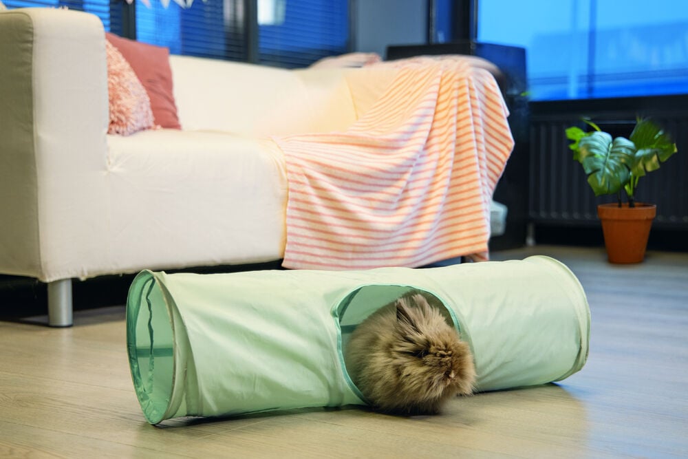 Beeztees Tunnel Ravena - Knaagdierspeelgoed - Mint - 20x20x70 cm