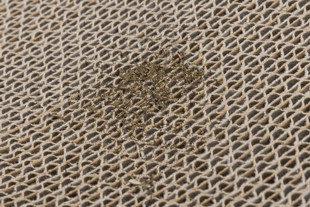 Beeztees Wiva - Krabplank - Wit Bruin - 10x52x10 cm