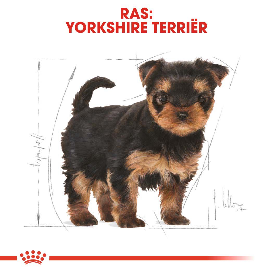 Royal Canin Yorkshire  Terrier Puppy - Hondenvoer - 7.5 Kilogram - gevogelte