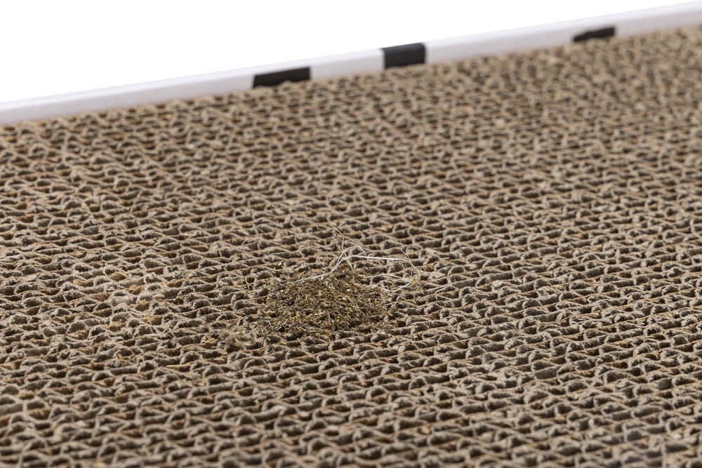 Beeztees Jixy Karton - Krabplank - Wit Bruin - 10x47x10 cm