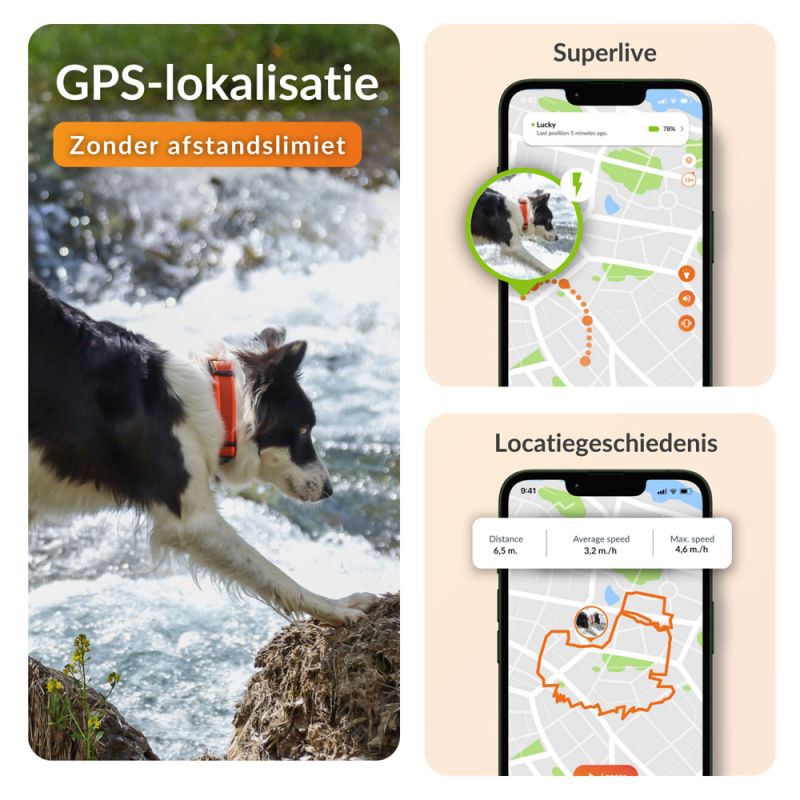 Weenect XT - Halsband met GPS tracker - Zwart