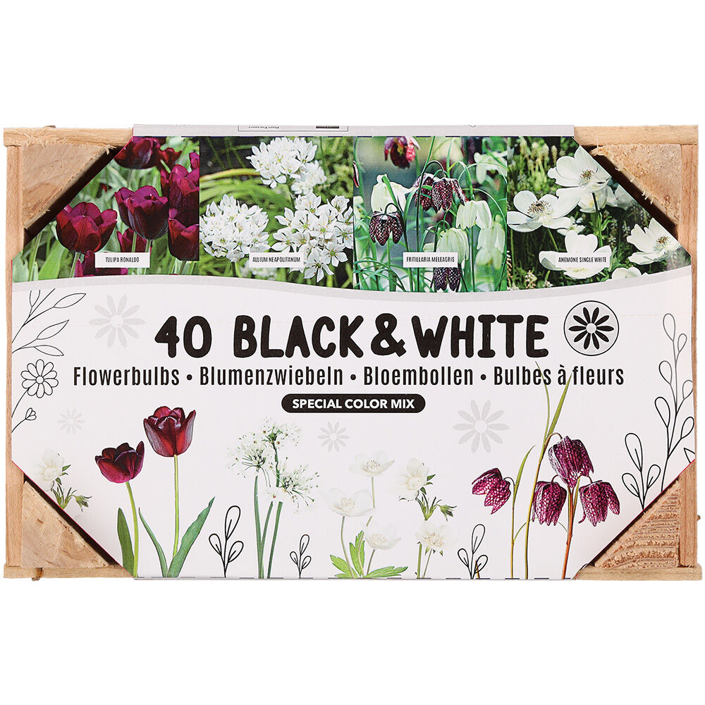 Florex Bloembollen mix - in Kistje