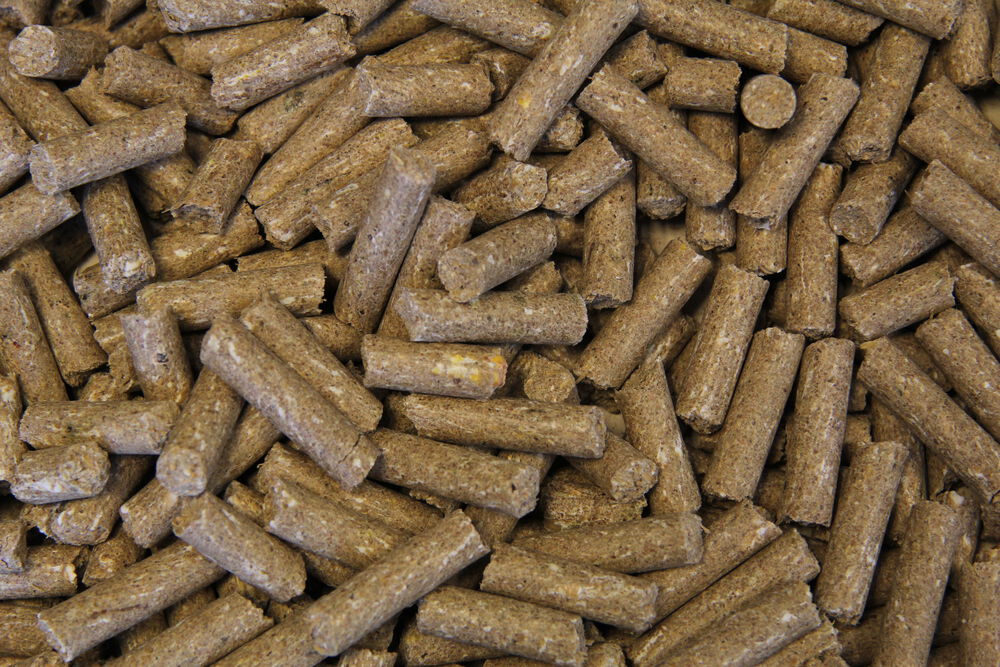 Voermeesters Sport - Sport/ Prestatie - 20 Kilogram - Zak