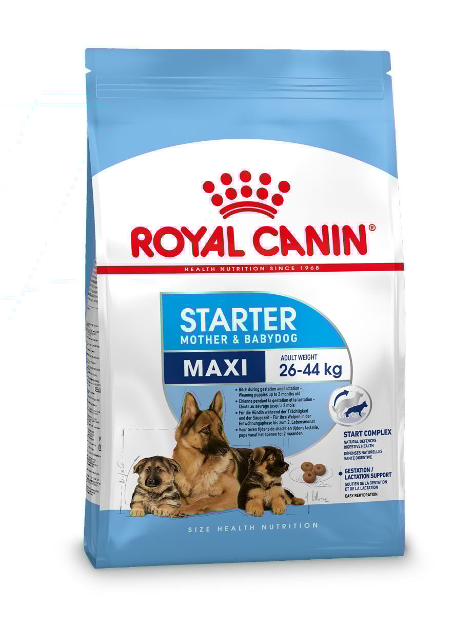 Royal Canin Maxi Starter Mother and Babydog - Hondenvoer - 15 Kilogram - gevogelte