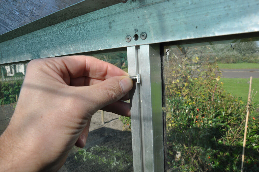 Royal Well Hamerkop bouten en moeren - Kas accessoire