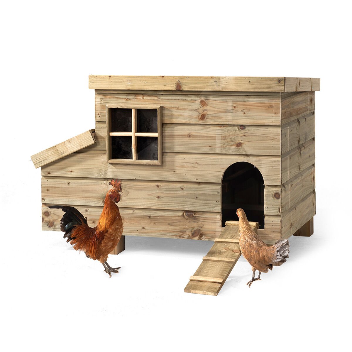 Glorenza  Bella - Kippenhok