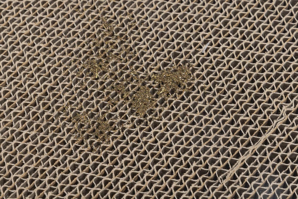 Beeztees krabsofa - Krabkarton - Wit Bruin - 1x49x1 cm