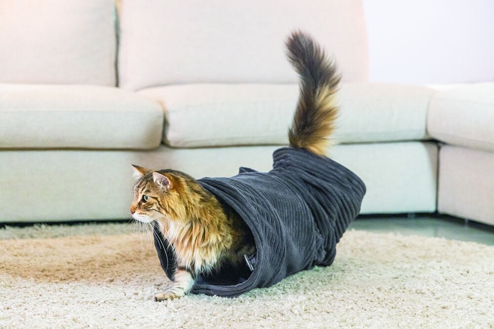 Designed by Lotte Rib - Kattentunnel - Terracotta Designed by Lotte Rib - Kattentunnel - Terracotta