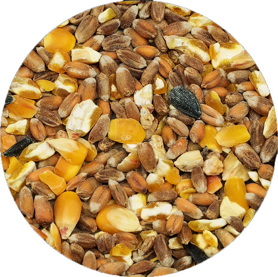 Welkoop Gemengd graan Biologisch - Kippenvoer - 12.5 Kilogram