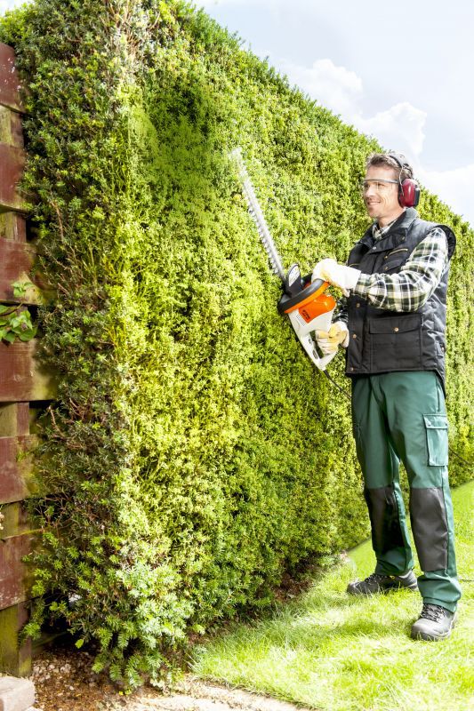 STIHL HSE 42 - Elektrische Heggenschaar - 45 cm