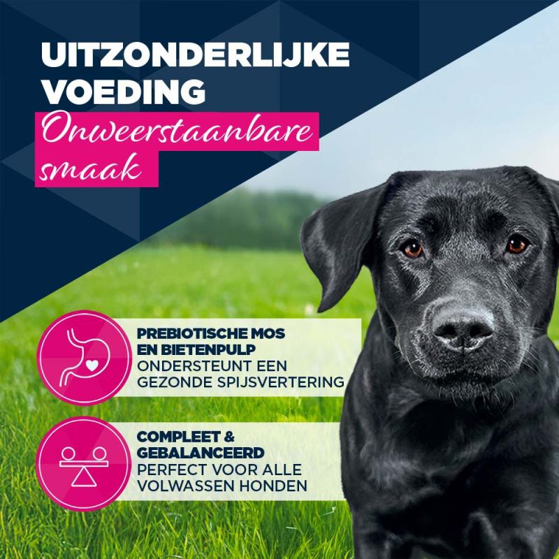 Eukanuba Adult Paté  - Hondenvoer - 400 Gram - kalkoen