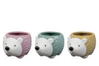 TS Woody - Bloempot - kleur - 6 cm