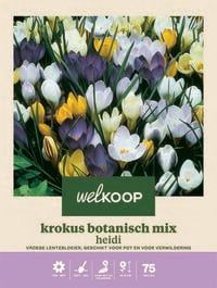 Welkoop Krokus Botanisch mix Heidi - Bloembollen