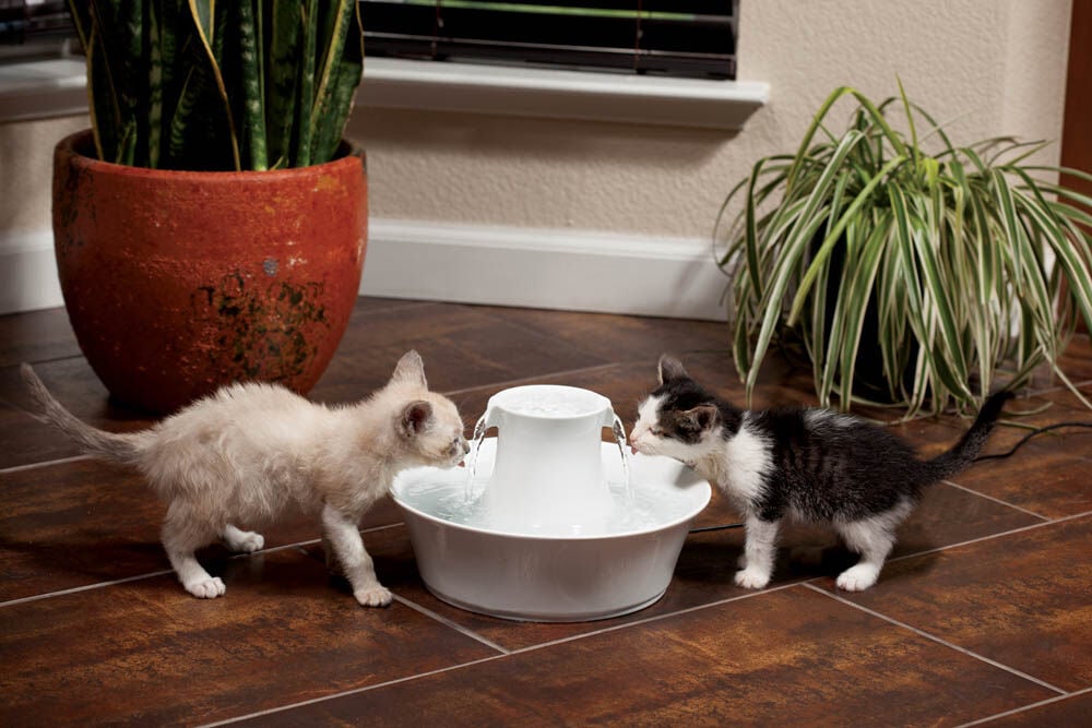 Petsafe Avalon - Keramische drinkfontein - Wit - 31x23x23 cm
