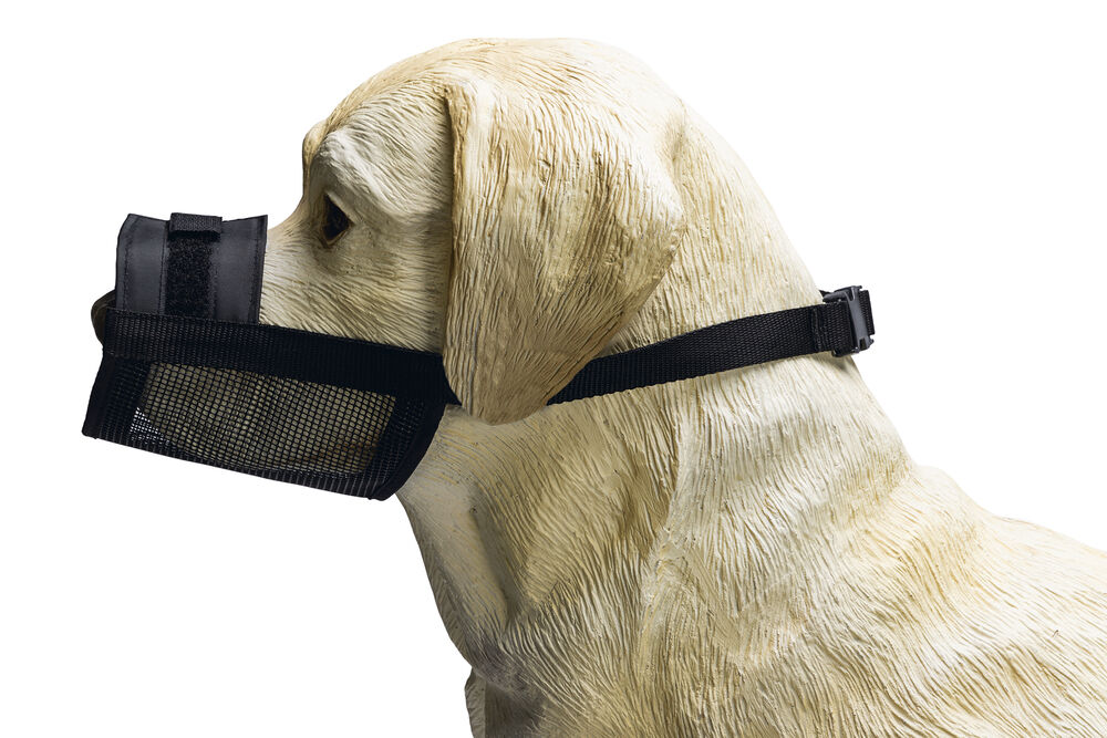 Beeztees - Muilkorf Hond - zwart - 19.5 cm