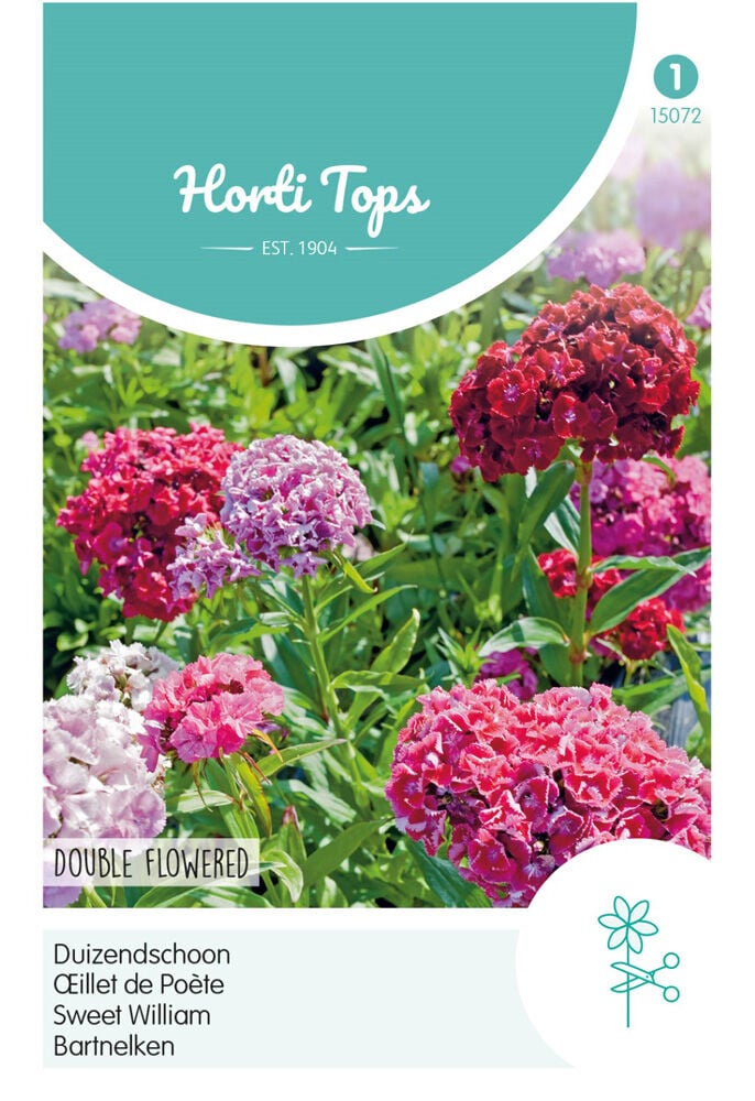 Hortitops Duizendschoon Dubbelbloemig - Bloemzaden Hortitops Duizendschoon Dubbelbloemig - Bloemzaden