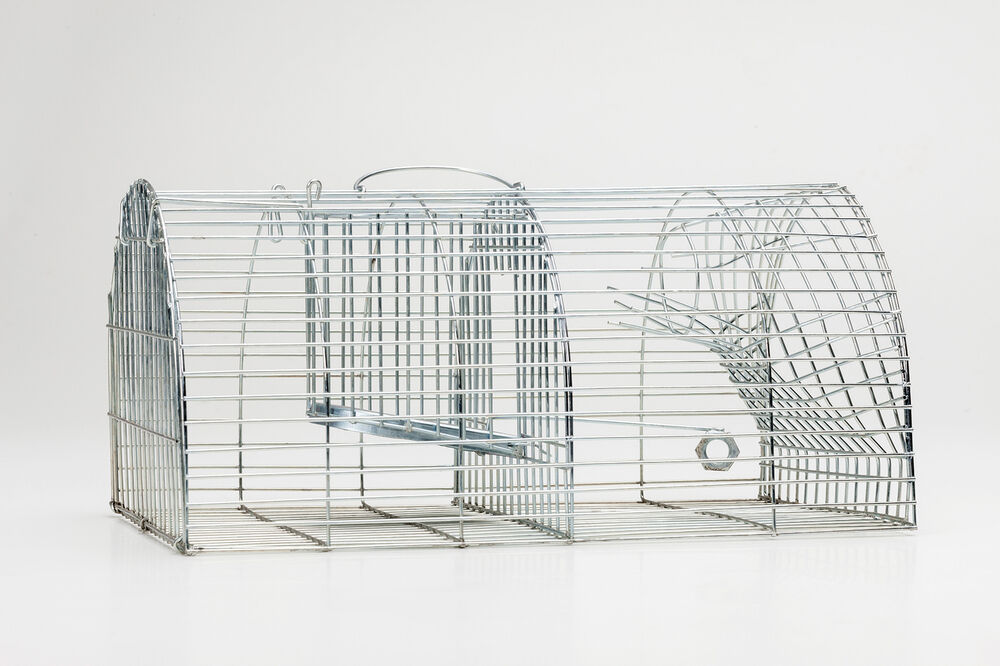 Luxan Rattenvangkooi - Rattenval