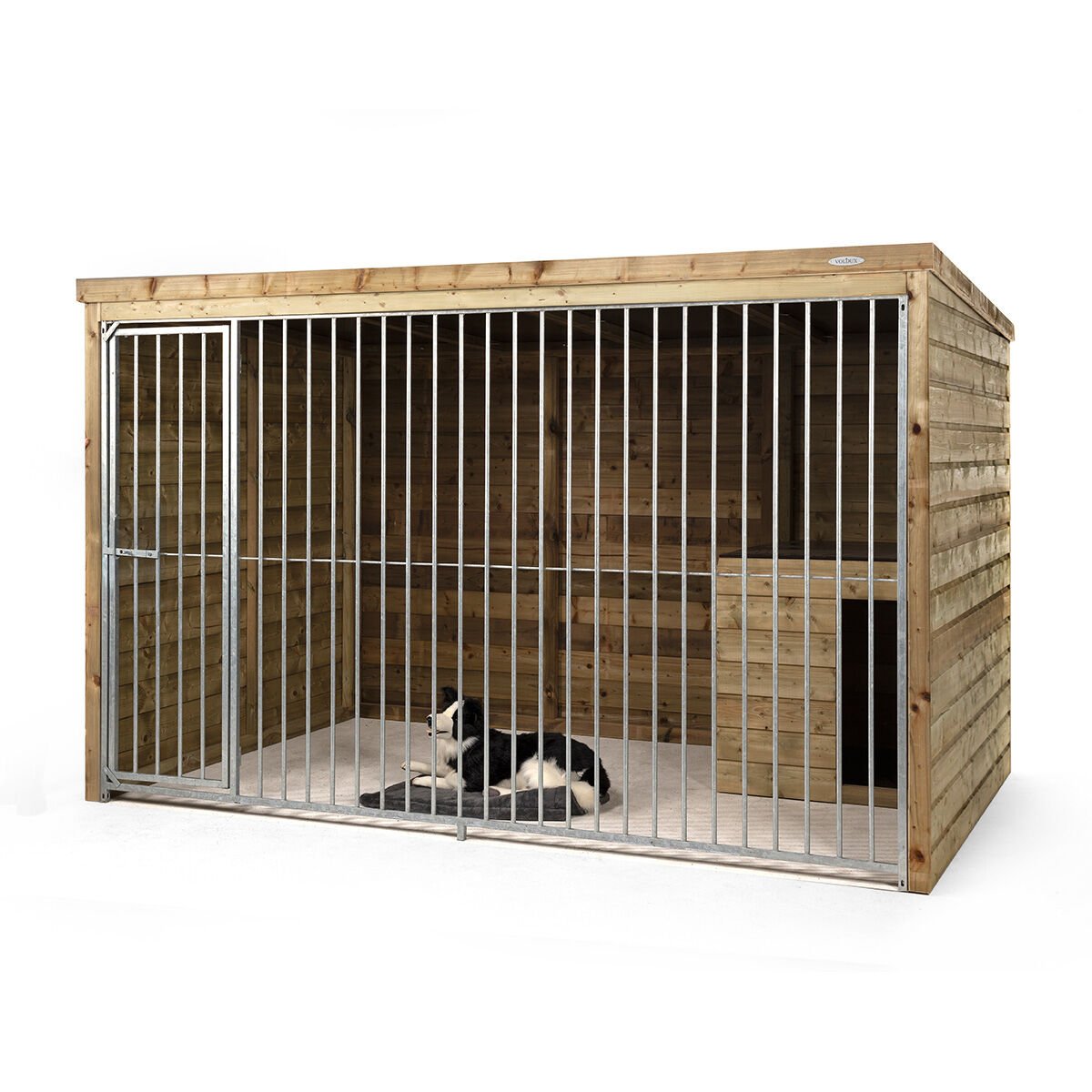 Voldux Max - Hondenkennel Voldux Max - Hondenkennel
