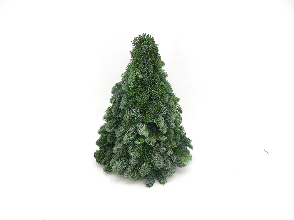 Kerstboom Nobilis - 40 cm Kerstboom Nobilis - 40 cm