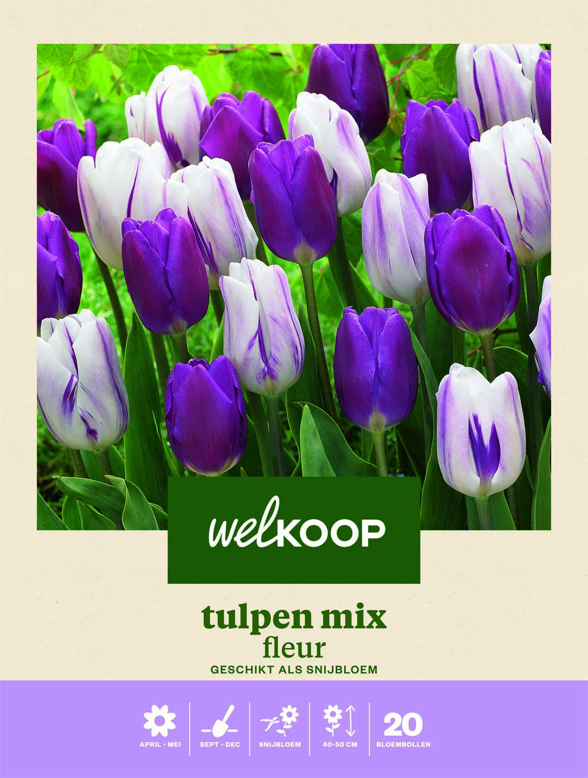 Welkoop Tulpen mix Fleur - Bloembollen Welkoop Tulpen mix Fleur - Bloembollen