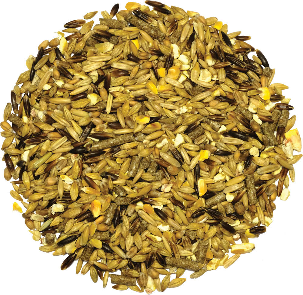 Equilannoo Explo Grain - Sport/ Prestatie - 20 Kilogram
