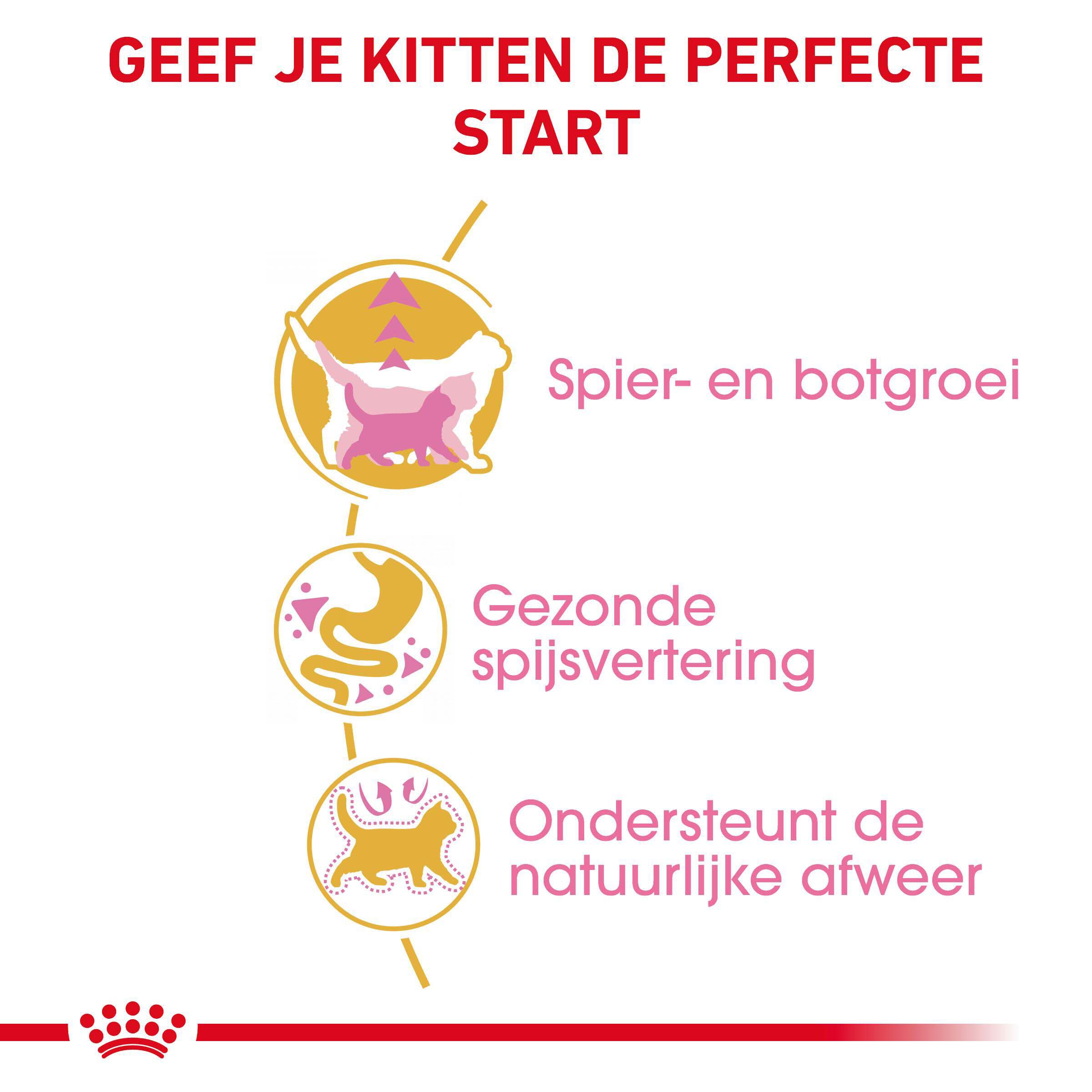 Royal Canin Britse Korthaar Kitten - Kattenvoer - 0.4 Kilogram - Gevogelte