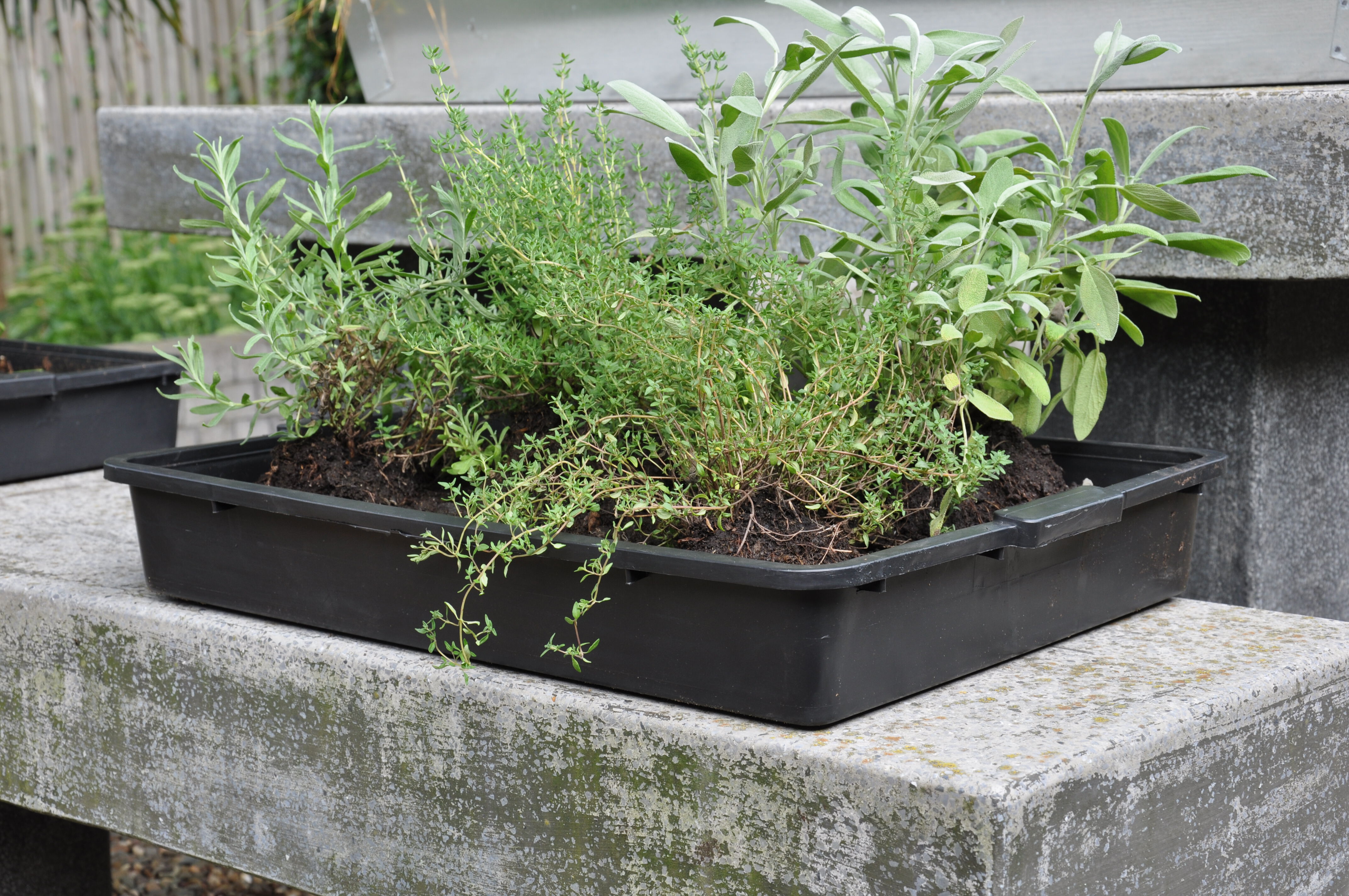 Royal Well Zaaikist 15L  - Kas accessoires