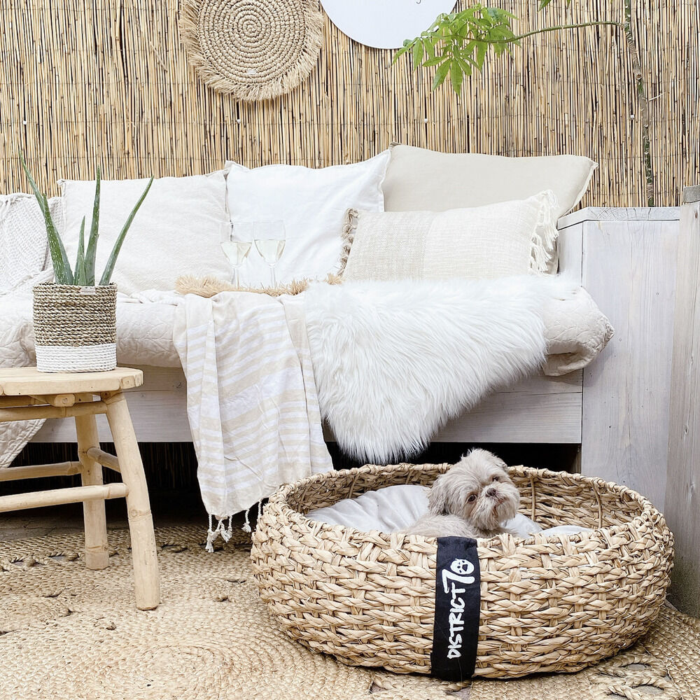 District 70 COCOON - Hondenmand - Bruin - M