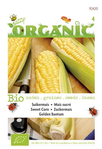 Buzzy Suikermais Zea mays Golden Bantam - Mais