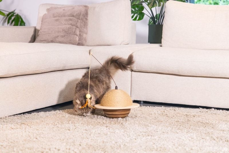 Designed by Lotte Wiggly - Krabbol - Naturel - 29.5x29.5x20 cm