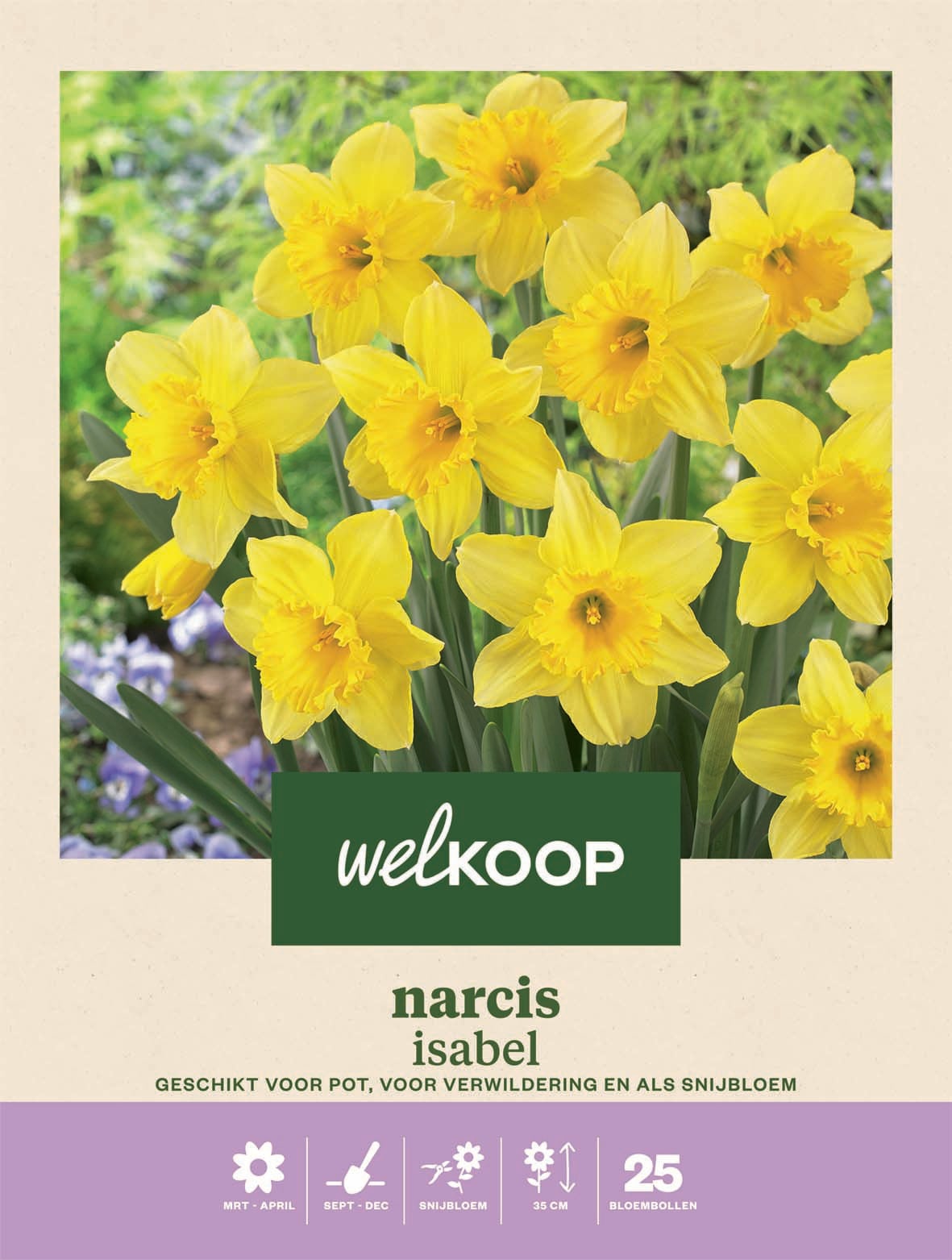Welkoop Narcis Isabel - Bloembollen Welkoop Narcis Isabel - Bloembollen