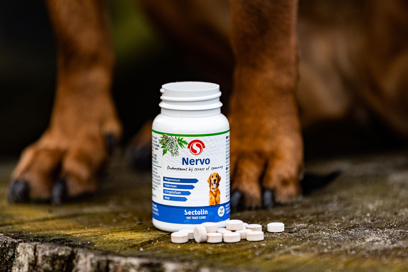 Sectolin Nervo - Kalmeringsmiddel Hond - 100 Stuks - Pot Sectolin Nervo - Kalmeringsmiddel Hond - 100 Stuks - Pot