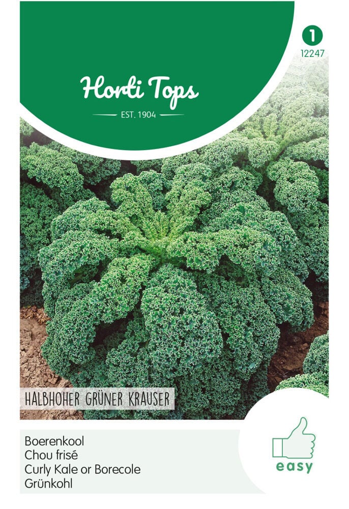 Hortitops Boerenkool Brassica oleracea Vert Demi-Nain / Middelhoge Fijne Krul - Groentezaden