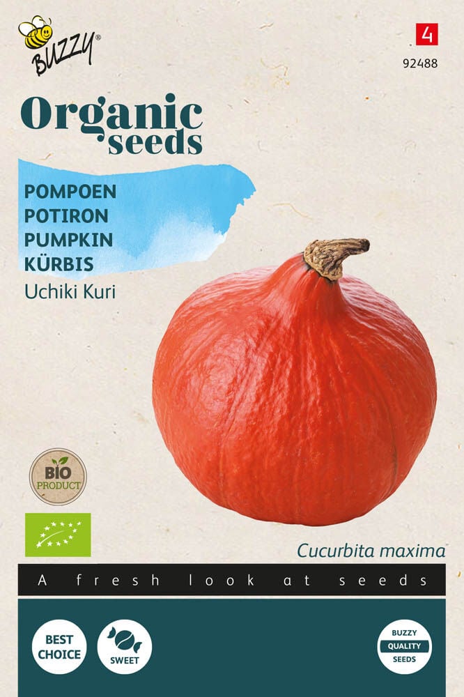 Buzzy Pompoen Cucurbita Uchiki Kuri - Kalebas/Pompoen
