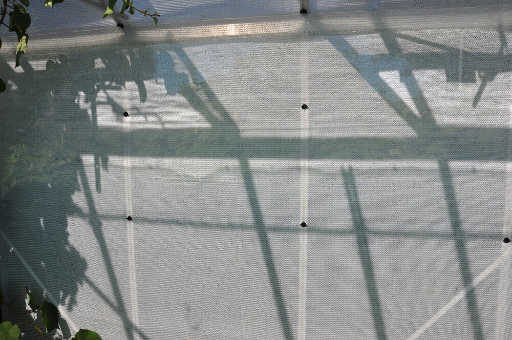 Royal Well Schermgaas - Kas accessoire - 1,8 x 5 meter